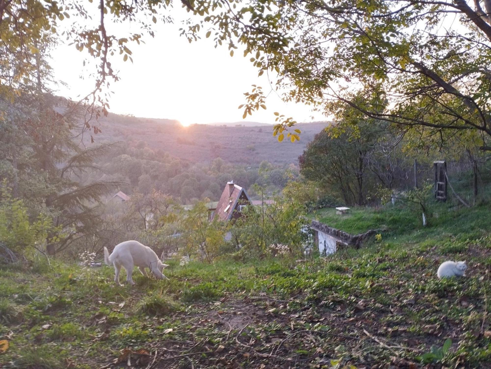 Iza Sedam Gora Holiday home
